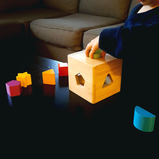 Unleashing the Power of Montessori Toys: Enhancing Early Learning and Development in Your Baby or Toddler