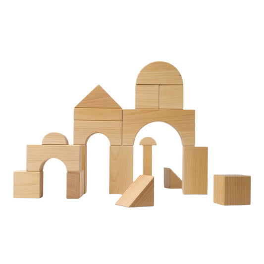 Large Wooden Building Blocks